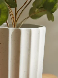 Cox & Cox Indoor Planting<Speckled Fluted Planter