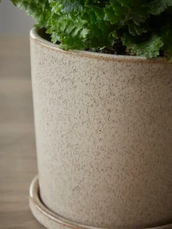 Cox & Cox Indoor Planting<Speckled Glazed Planter & Saucer - Small