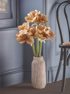 Cox & Cox Faux Stems|Faux Plants & Flowers<Three Amaryllis Stems
