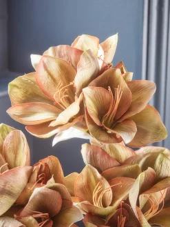 Cox & Cox Faux Stems|Faux Plants & Flowers<Three Amaryllis Stems