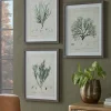 Cox & Cox Wall Art<Three Botanical Wall Art Prints
