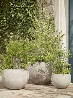 Cox & Cox Plant Pots & Troughs<Three Bowl Planters - Sand