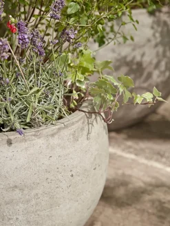 Cox & Cox Plant Pots & Troughs<Three Bowl Planters - Sand