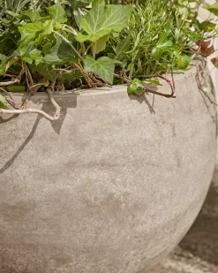 Cox & Cox Plant Pots & Troughs<Three Bowl Planters - Sand