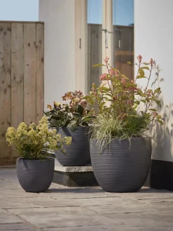 Cox & Cox Plant Pots & Troughs<Three Celano Planters