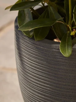 Cox & Cox Plant Pots & Troughs<Three Celano Planters