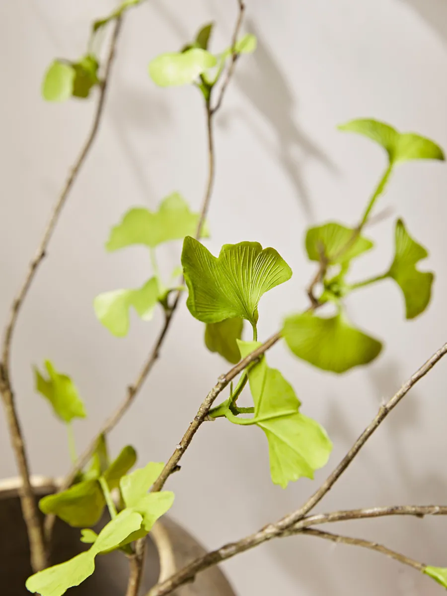 Cox & Cox Faux Stems|Faux Plants & Flowers<Three Faux Gingko Leaf Sprays