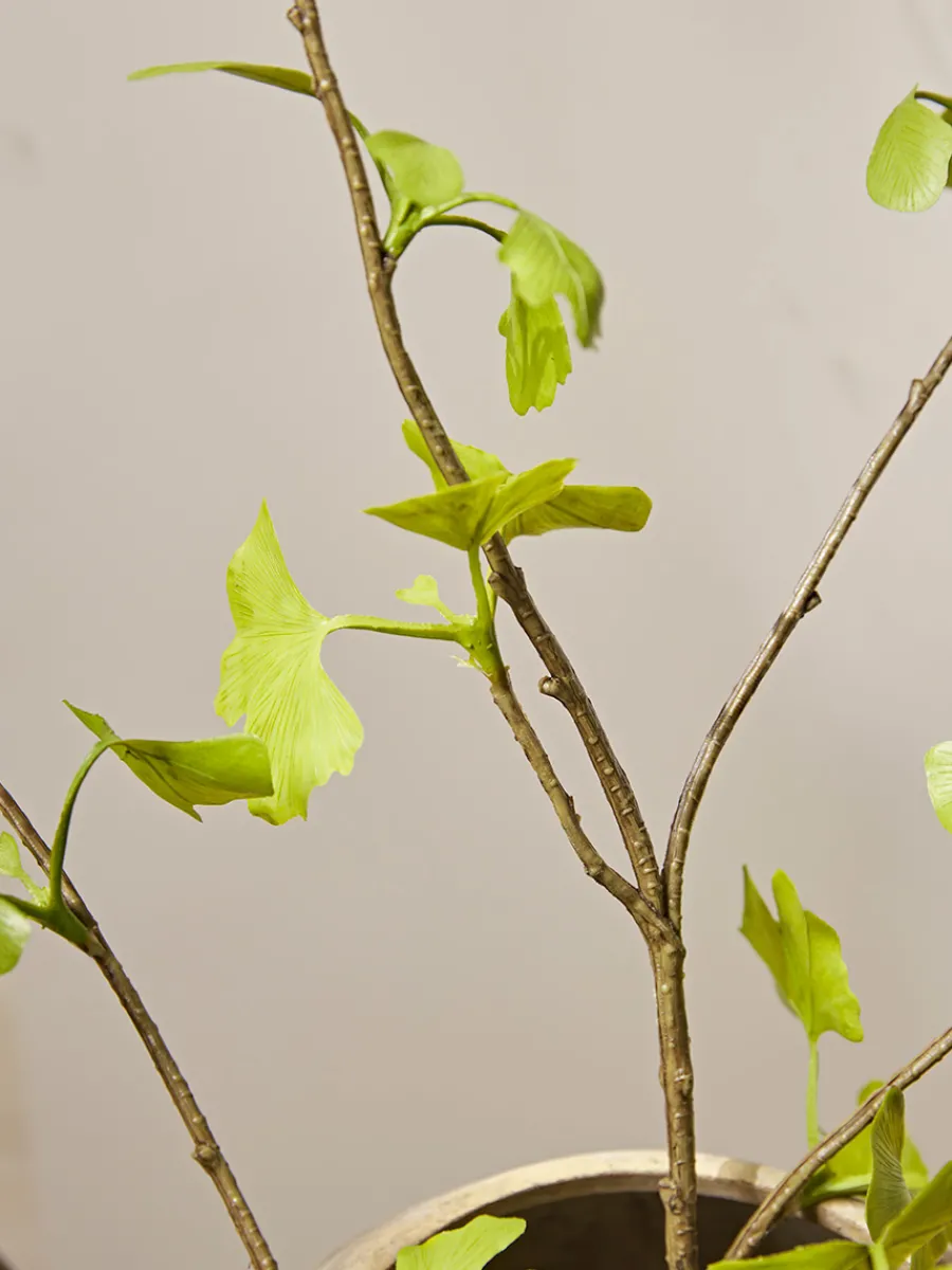 Cox & Cox Faux Stems|Faux Plants & Flowers<Three Faux Gingko Leaf Sprays