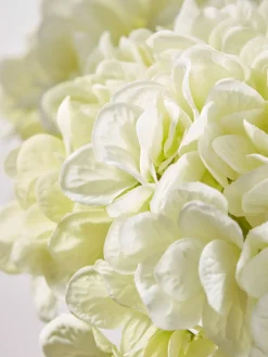 Cox & Cox Faux Stems|Faux Plants & Flowers<Three Faux Hydrangea Stems - Cream