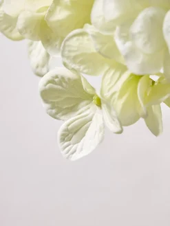 Cox & Cox Faux Stems|Faux Plants & Flowers<Three Faux Hydrangea Stems - Cream