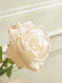 Cox & Cox Faux Stems|Faux Plants & Flowers<Three Faux Rose Stems - Soft Peach