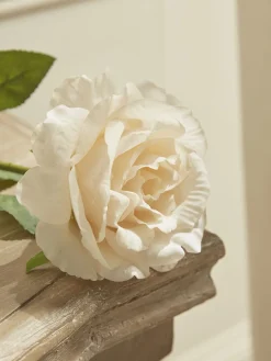 Cox & Cox Faux Stems|Faux Plants & Flowers<Three Faux Rose Stems - Soft Peach