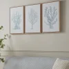 Cox & Cox Wall Art<Three Framed Coral Canvases