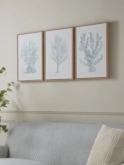 Cox & Cox Wall Art<Three Framed Coral Canvases