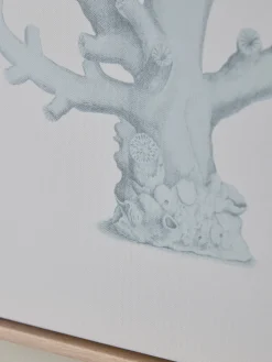 Cox & Cox Wall Art<Three Framed Coral Canvases