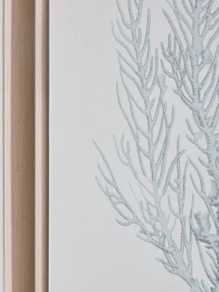 Cox & Cox Wall Art<Three Framed Coral Canvases