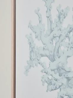 Cox & Cox Wall Art<Three Framed Coral Canvases