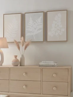 Cox & Cox Wall Art<Three Framed Fern Canvases