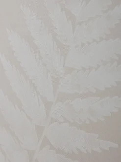 Cox & Cox Wall Art<Three Framed Fern Canvases