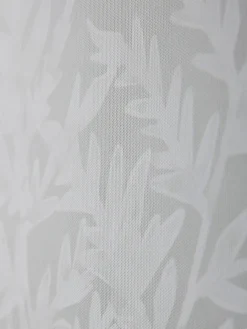 Cox & Cox Wall Art<Three Framed Fern Canvases