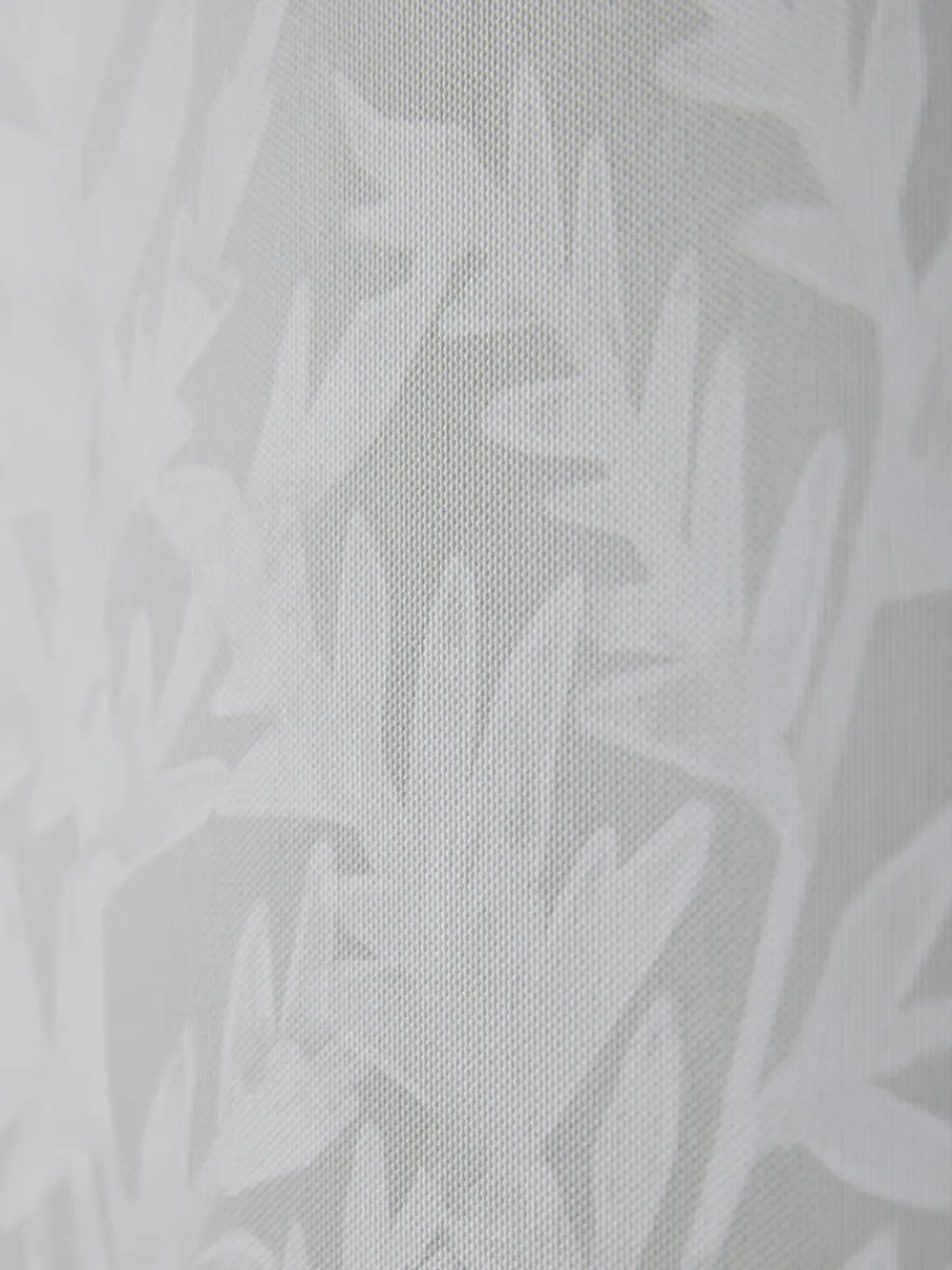 Cox & Cox Wall Art<Three Framed Fern Canvases