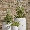 Cox & Cox Plant Pots & Troughs<Three Geometric Etched Planters - Light Grey