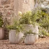 Cox & Cox Plant Pots & Troughs<Three Handmade Fluted Planters - Off-White