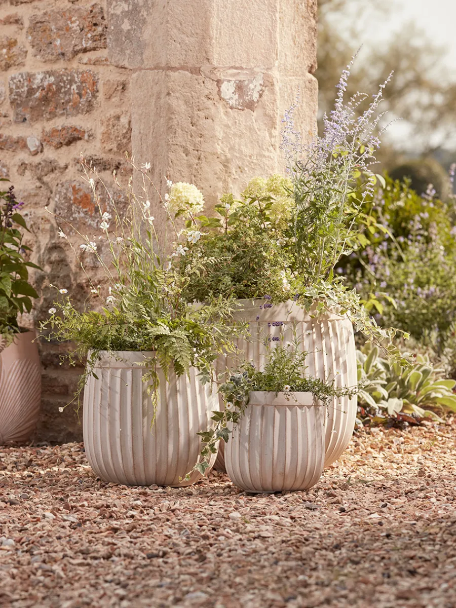 Cox & Cox Plant Pots & Troughs<Three Handmade Fluted Planters - Off-White