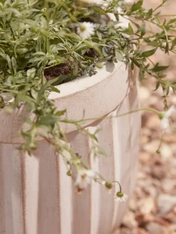 Cox & Cox Plant Pots & Troughs<Three Handmade Fluted Planters - Off-White