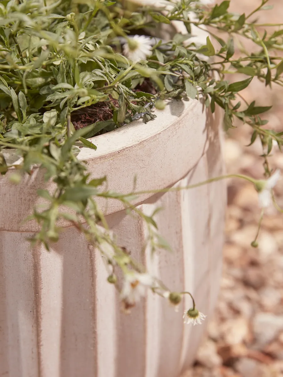Cox & Cox Plant Pots & Troughs<Three Handmade Fluted Planters - Off-White
