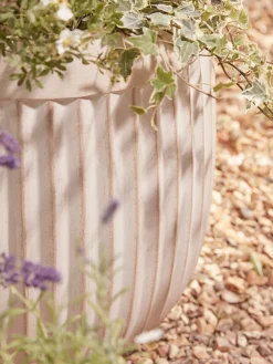 Cox & Cox Plant Pots & Troughs<Three Handmade Fluted Planters - Off-White