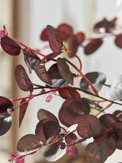 Cox & Cox Faux Stems|Faux Plants & Flowers<Three Large Faux Eucalyptus Sprays - Burgundy