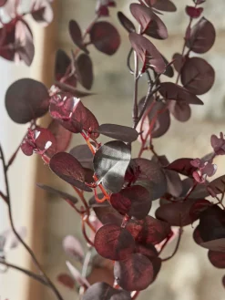 Cox & Cox Faux Stems|Faux Plants & Flowers<Three Large Faux Eucalyptus Sprays - Burgundy