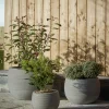Cox & Cox Plant Pots & Troughs<Three Ribbed Concrete Planters
