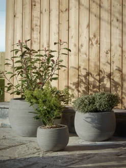 Cox & Cox Plant Pots & Troughs<Three Ribbed Concrete Planters