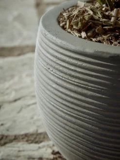 Cox & Cox Plant Pots & Troughs<Three Ribbed Concrete Planters