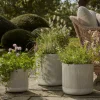 Cox & Cox Plant Pots & Troughs<Three Ribbed Planters