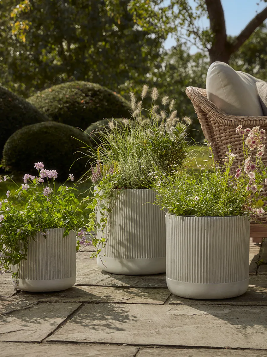 Cox & Cox Plant Pots & Troughs<Three Ribbed Planters