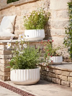 Cox & Cox Plant Pots & Troughs<Three Sand Fluted Planters - Small
