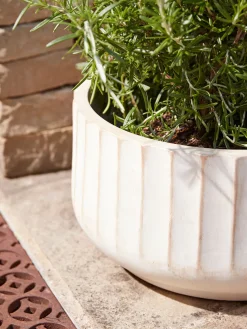 Cox & Cox Plant Pots & Troughs<Three Sand Fluted Planters - Small