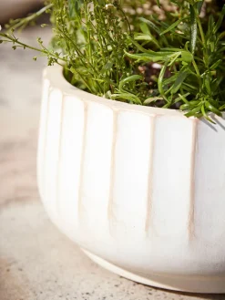 Cox & Cox Plant Pots & Troughs<Three Sand Fluted Planters - Small