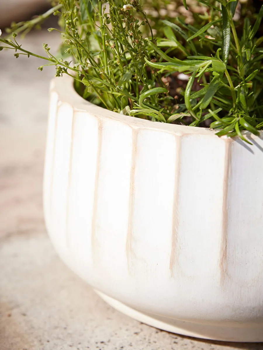 Cox & Cox Plant Pots & Troughs<Three Sand Fluted Planters - Small