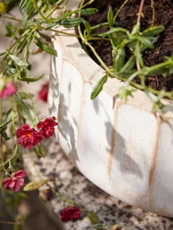 Cox & Cox Plant Pots & Troughs<Three Sand Fluted Planters - Small