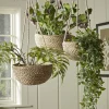 Cox & Cox Indoor Planting<Three Seagrass Hanging Planters