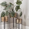 Cox & Cox Indoor Planting<Three Standing Brass Planters