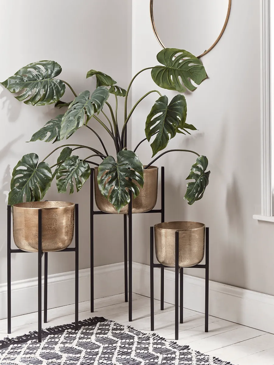 Cox & Cox Indoor Planting<Three Standing Brass Planters