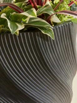 Cox & Cox Plant Pots & Troughs<Two Anthracite Spiral Planters - Large