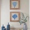 Cox & Cox Wall Art<Two Blue Coral Framed Prints