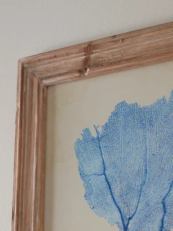 Cox & Cox Wall Art<Two Blue Coral Framed Prints