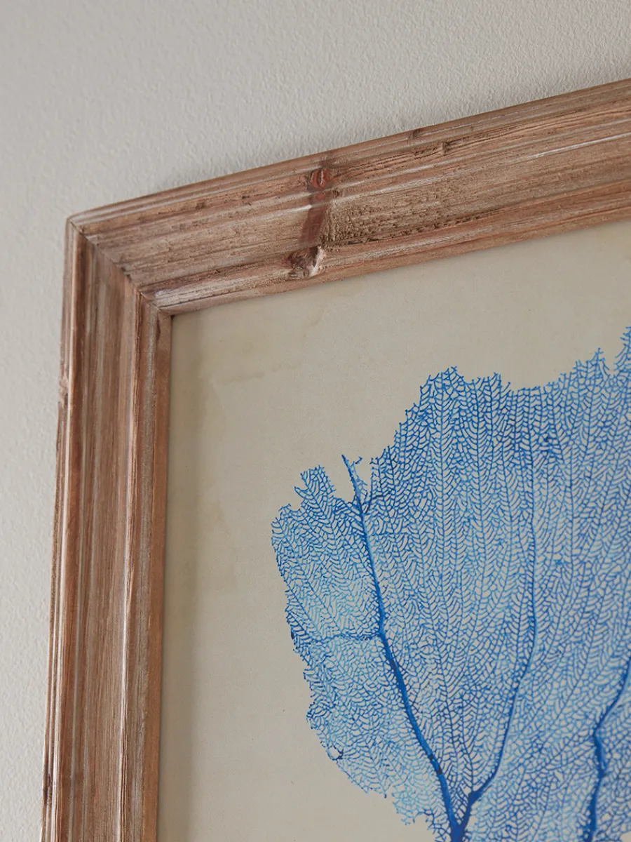 Cox & Cox Wall Art<Two Blue Coral Framed Prints